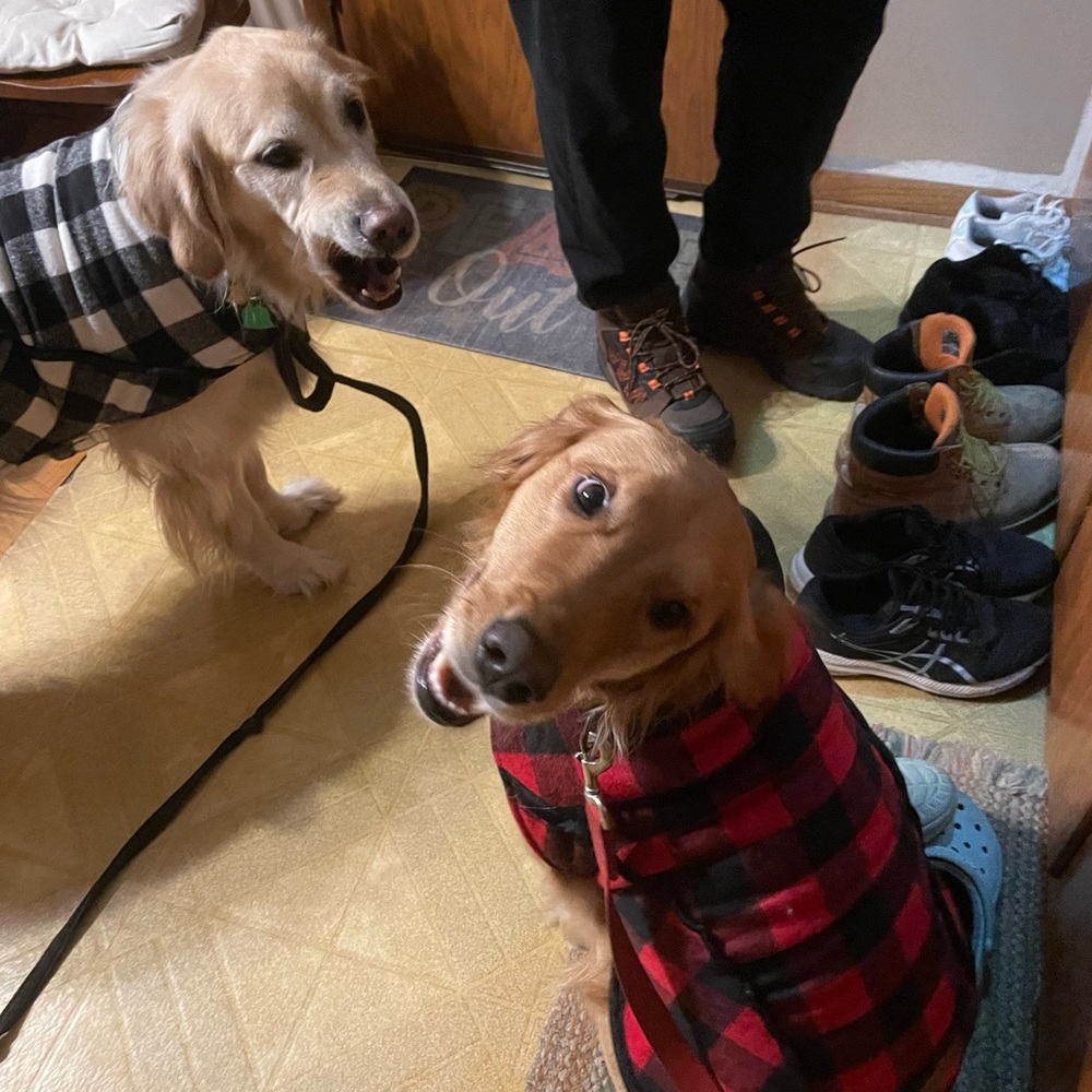 Meet your Posher, Heidi